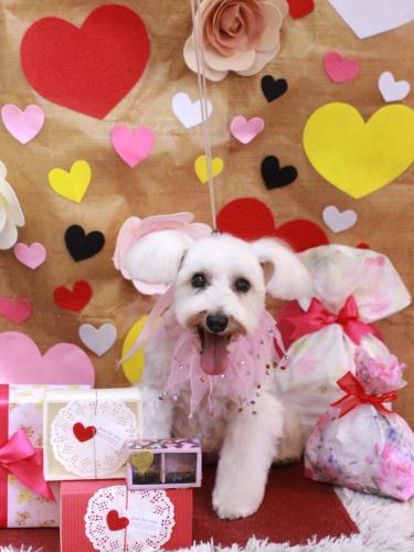 20230207天馬利ちゃん